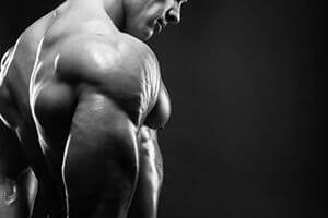 Best Muscle Building Supplements: Resources